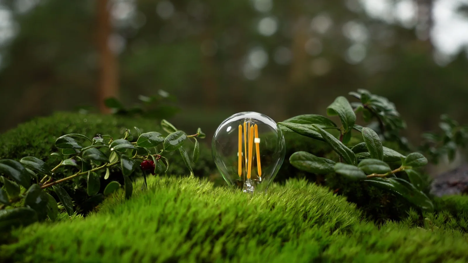 Best Solar Garden Lights 2026